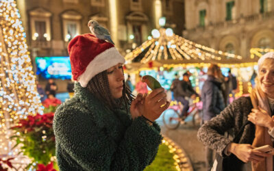 Animations dans le quartier
